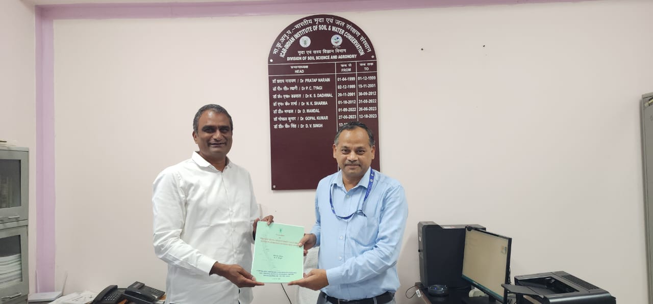 Urban Real Estate ROI