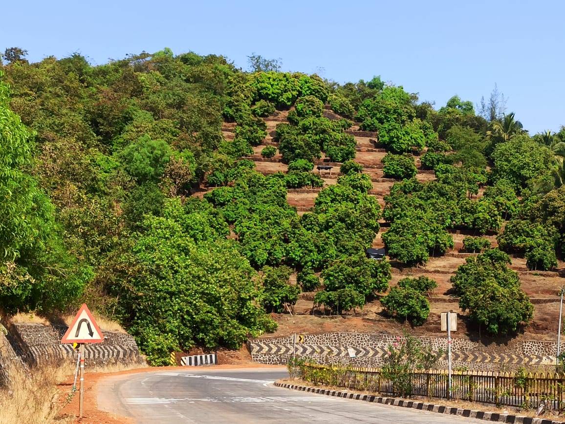 Step Farming Picture Gallery